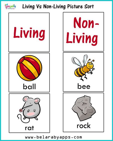 Living Vs Nonliving Activities For Kindergarten ⋆ Belarabyapps