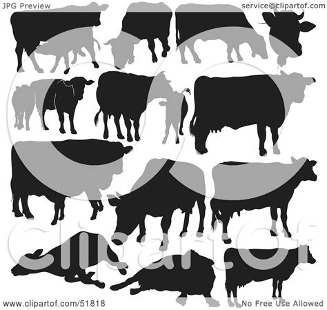 Royalty Free Rf Clipart Illustration Of A Digital Collage Of Black