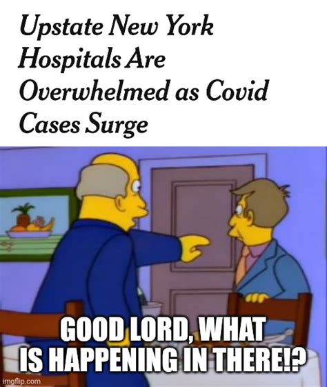 Good Lord Steamed Hams Memes And S Imgflip