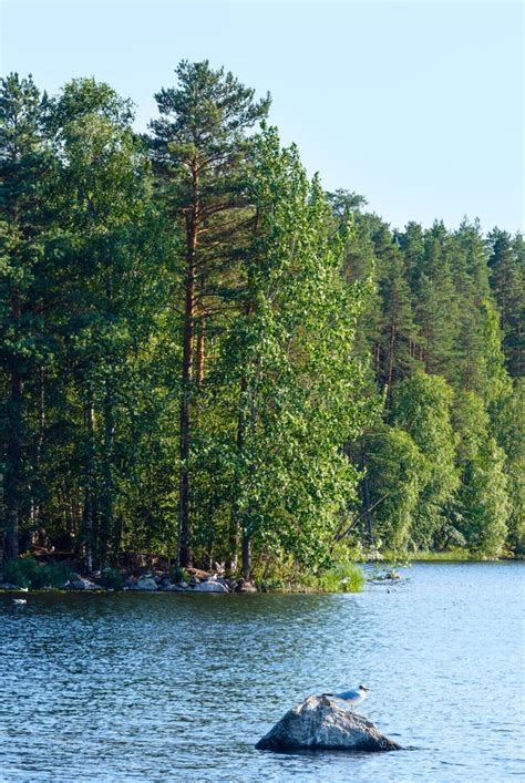 Lake Summer View Finland Stock Image Image Of Lake Finland 45917163