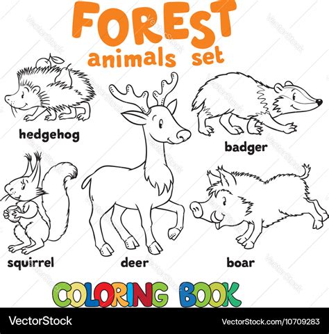 Forest Animals Coloring Book Royalty Free Vector Image