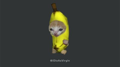 Banana Cat Running Youtube