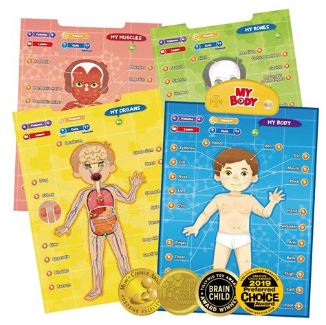Buy Best Learning I My Body Interactive Educational Human Anatomy Talking Game Toy System To