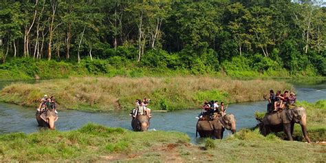 Jungle Safari Tour In Nepal Nepal Jungle Safari Tour Cost For 2024