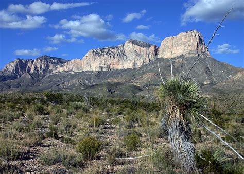 Popular guadalupe mountains national park categories. Volunteer Vacation in Guadalupe Mountains, Texas - Sierra Club