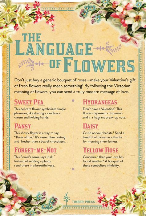 De Language Of Flowers Language Of Flowers Flower Meanings Flower Therapy