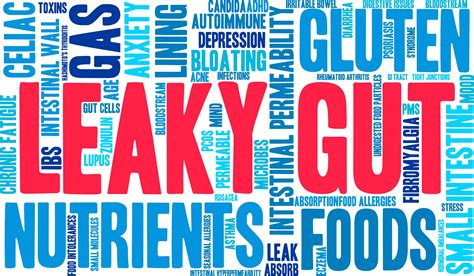 Ep 12 Treatment Strategies For Leaky Gut Syndrome