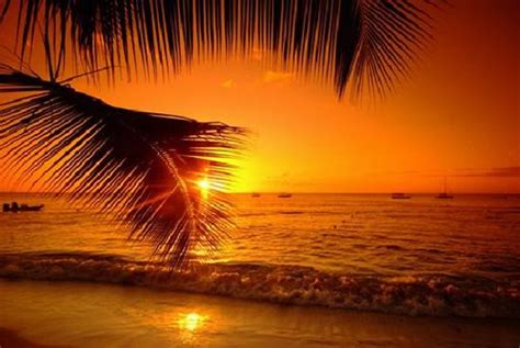 pictures of sunsets in barbados yahoo search results sunset beach wallpaper barbados country