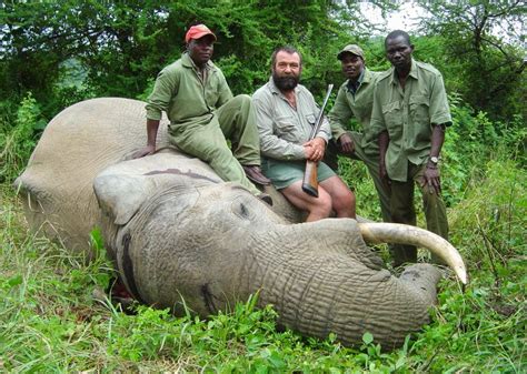 United States Trophy Hunting Elephants And Lions Iwb