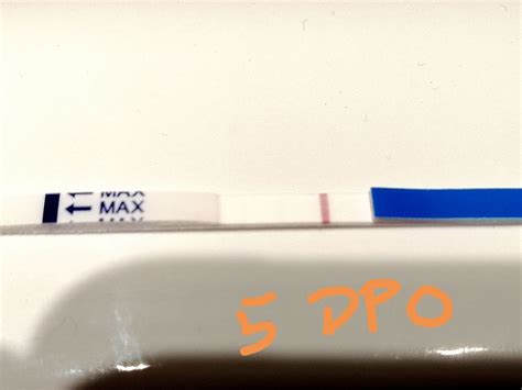 5 Dpo Pregnancy Test Captions Domestic