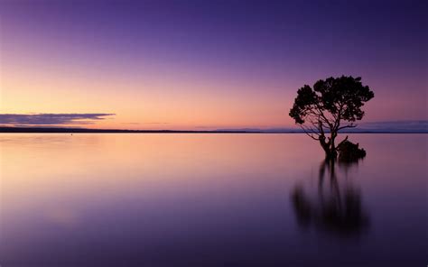 Download Wallpaper 3840x2400 Sunset Tree Lake Sky Water Evening