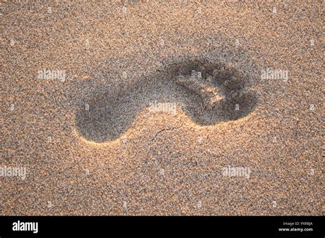 Huella En La Arena Hi Res Stock Photography And Images Alamy