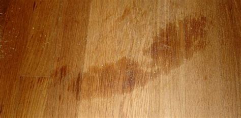 How To Clean Oil Stains Off Wood Floors Floor Roma