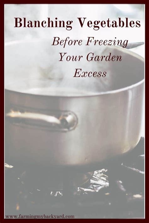 Blanching Vegetables Before Freezing Your Garden Excess Vegetables