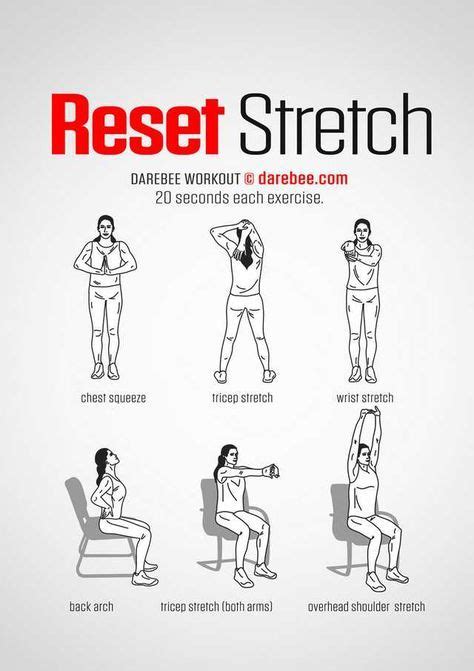 Chair Exercises Stretching Exercises Back Exercises Yoga Stretches