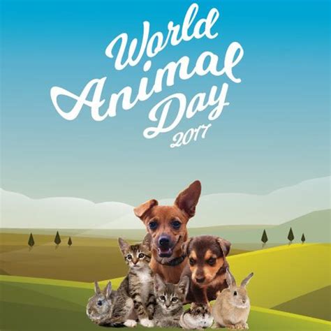 World Animal Day 2017 Singapore Eventfinda