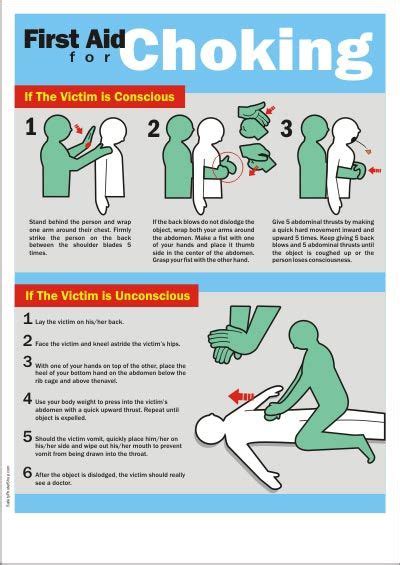 Choking First Aid Poster 17 Ubicaciondepersonascdmxgobmx