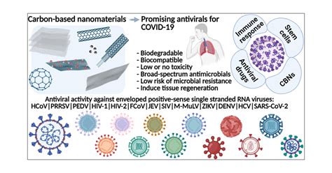 Carbon Based Nanomaterials Promising Antiviral Agents To Combat Covid