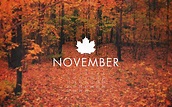 November Wallpapers HD | PixelsTalk.Net