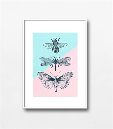 Drawing And Illustration Aesthetic Bug Decor Wall Art Printable Digital