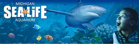 Sea Life Michigan Aquarium Update 120000 Gallons Of Water Delivered