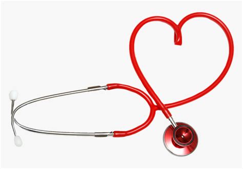 Stethoscope Heart Physician Nursing Clip Art Clip Art Medical