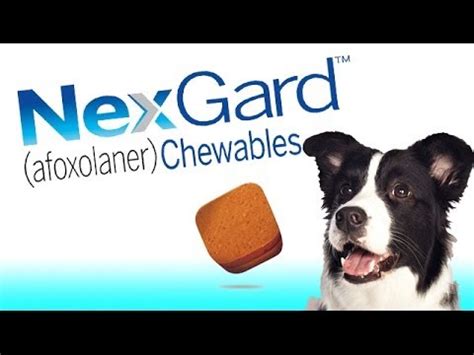 What are the side effects of nexgard chewable tablets for dogs and puppies? Nexgard Flea and Tick Chewable for Dogs by Merial ...