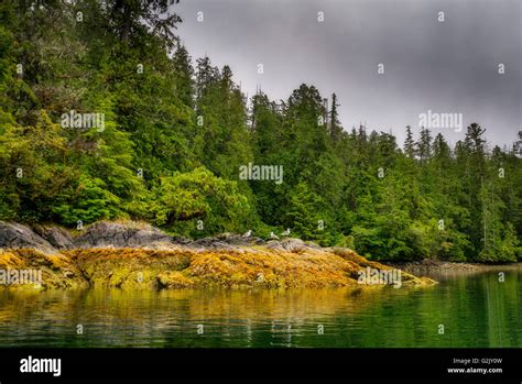 Broken Group Islands High Resolution Stock Photography And Images Alamy