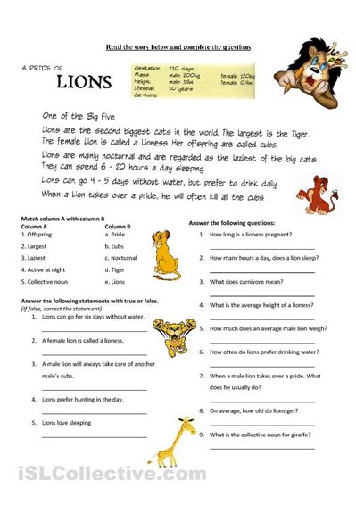 Lion Story Worksheet Reading And Writing Pouch Tutorial Lion Story