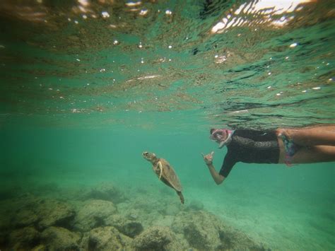 Snorkeling Nā Mokulua Twin Islands at Lanikai Hawaii life