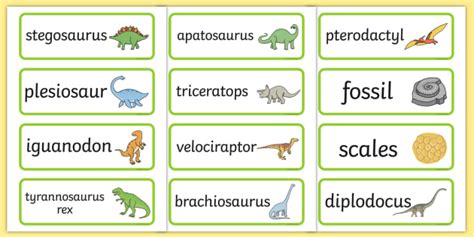 Dinosaur Vocabulary Word Cards Dinosaur Words Flash Cards
