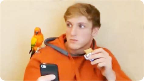 Logan Paul Returns With His Second Compilation Of Funny Vine Videos