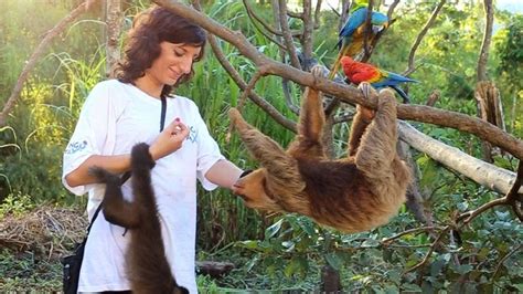 Animal Care Rescue And Protection Of Exotic Animals Amazon