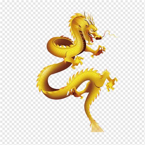 Yellow Dragon Illustration Shenron Chinese Dragon Gold Dragon Dragon