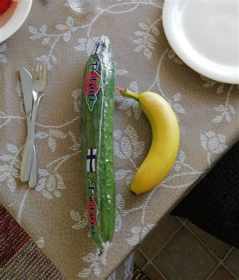 big cucumber banana for scale r bananasforscale