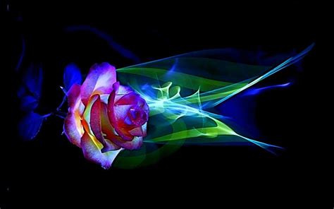 Neon Rose Wallpapers Top Free Neon Rose Backgrounds Wallpaperaccess