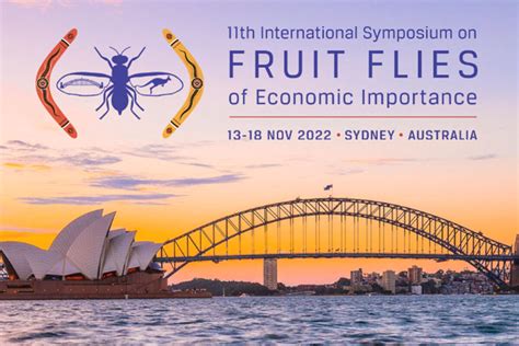 Isffei 2022 Strategies To Combat The Impact Of Fruit Fly National