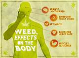 Marijuana Effects Body