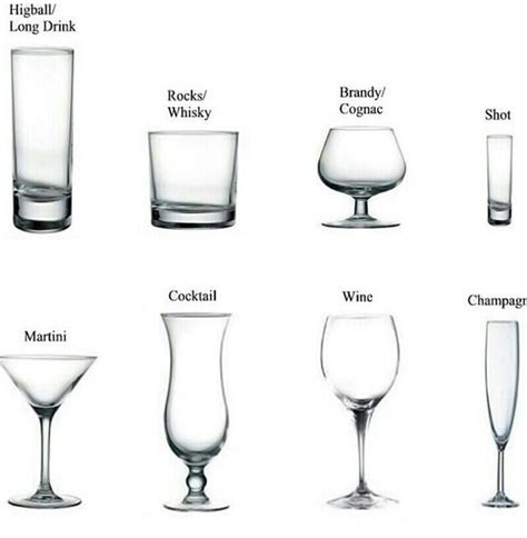 Pin By Gold Dust Sdotd On Come Home Types Of Cocktail Glasses Types Of Cocktails Liquor Glasses