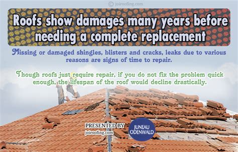 Roof Maintenance Infographic