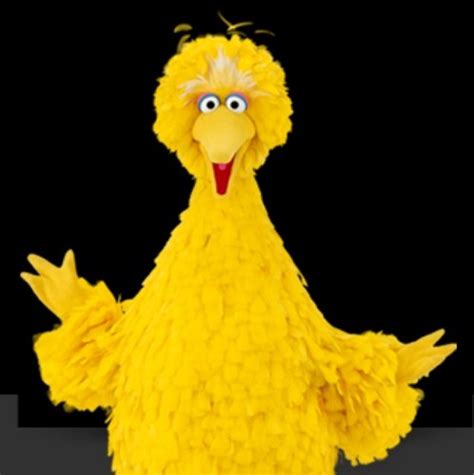 Big Bird On Twitter Fuckin Oscar The Grouch The Snid Swerved Me For A Fat Bird In Town Tit