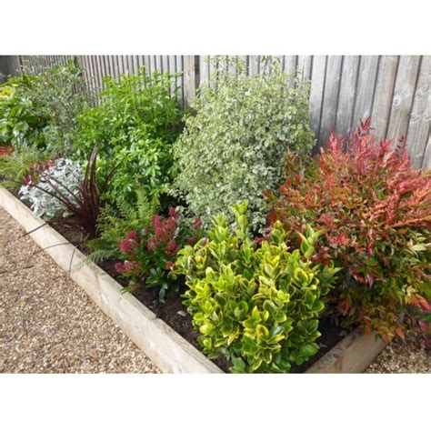 Low Maintenance Garden Border Ideas Kartlimo