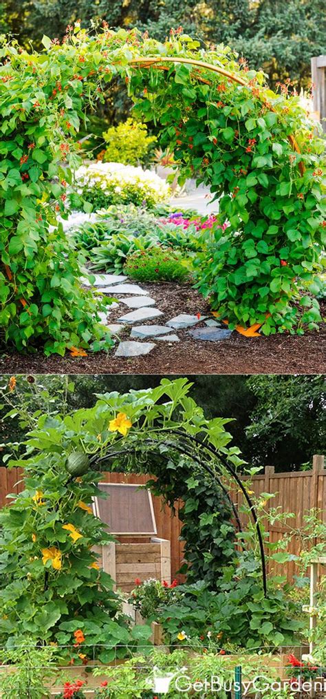 This diy wall trellis idea shows the beauty of the vines and the small flowers that will climb it. 24 Easy DIY Garden Trellis Ideas & Plant Structures - A ...