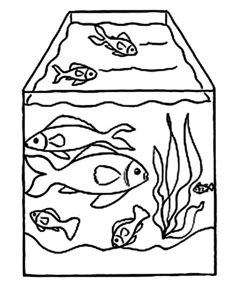 Masami fish coloring pages for kids. Drawing Fish Tank Coloring Page - NetArt