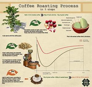 Coffee Roasting Process Infographic Cangkir Kopi Kopi Kafe