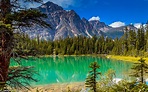 Fonds d'écran Montagnes, arbres, lac, paysage naturel 1920x1200 HD image