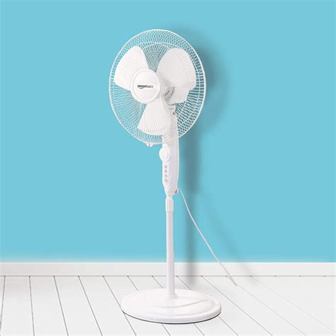 Top 5 Best Pedestal Fans Rainkart