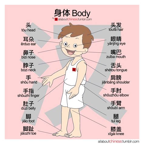 Toronto Mandarin School 标准中文学校 Chinese Culture Name Your Body Parts