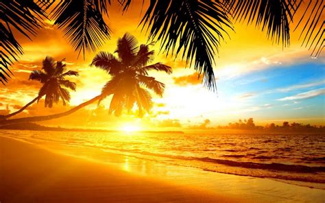 Free Download Large Tropical Island Sunset Wallpaper 1920x1200 For