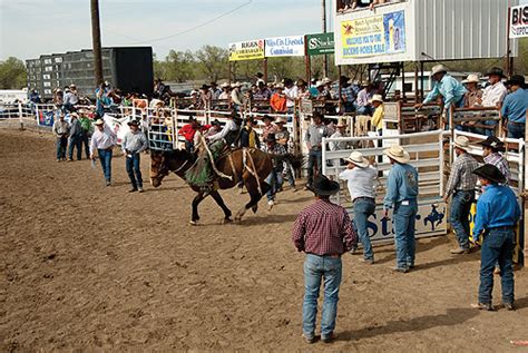 Annual Bucking Horse Sale In Miles City